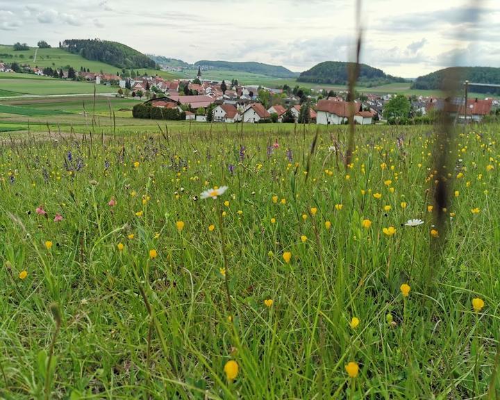 Landhotel Sonnenbuehl